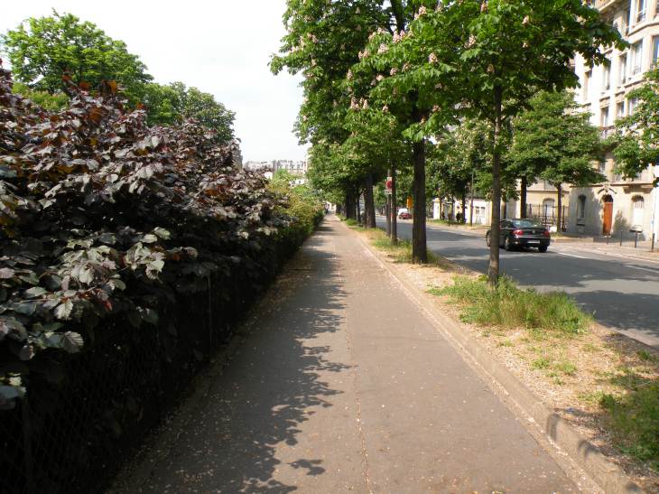  bd Pasteur, verdure le long des voies du métro